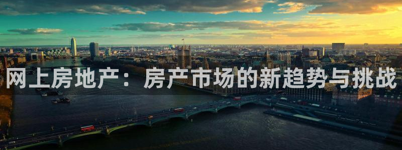 5新宝：网上房地产：房产市场的新趋势与挑战