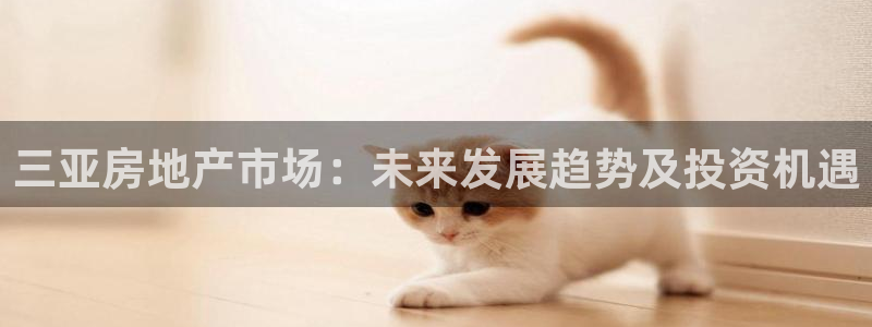新宝m2O5O5O：三亚房地产市场：未来发展趋势及投资机遇