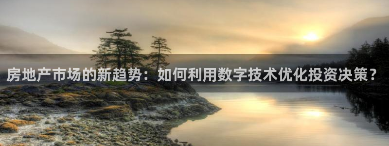 新宝5的网址：房地产市场的新趋势：如何利用数字技术优化投资决