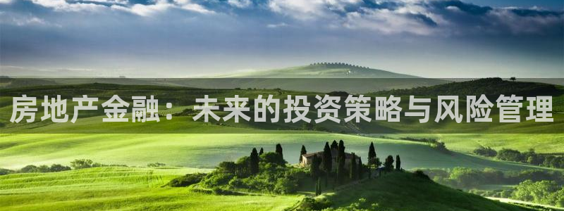 新宝5彩票平台登陆：房地产金融：未来的投资策略与风险管理