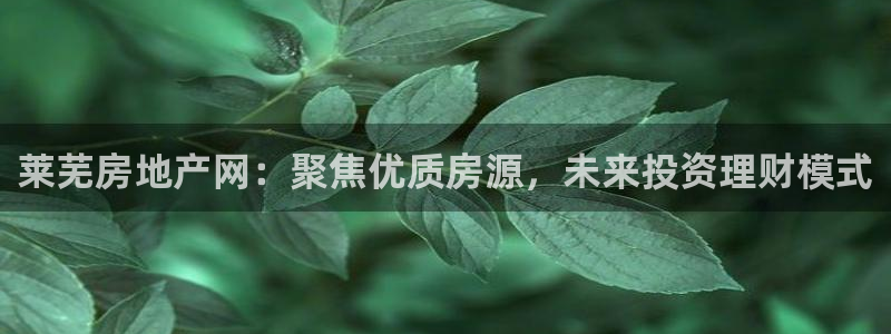 新宝5骗术：莱芜房地产网：聚焦优质房源，未来投资理财模式