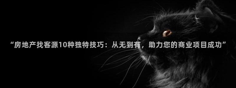 新宝5测速线路：“房地产找客源10种独特技巧：从无到有，助力