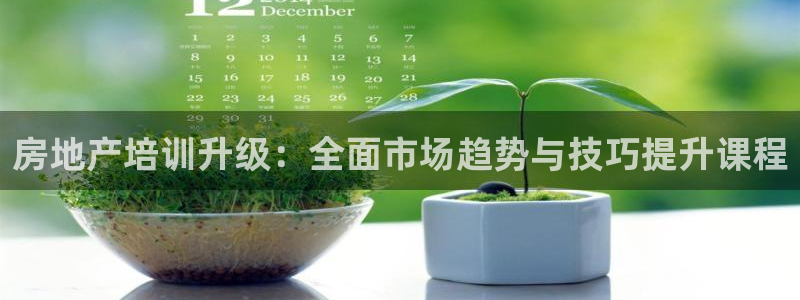 新宝5注册账号：房地产培训升级：全面市场趋势与技巧提升课程