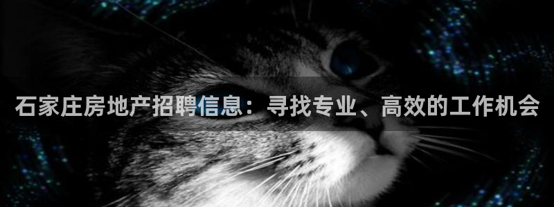 新宝_5：石家庄房地产招聘信息：寻找专业、高效的工作机会