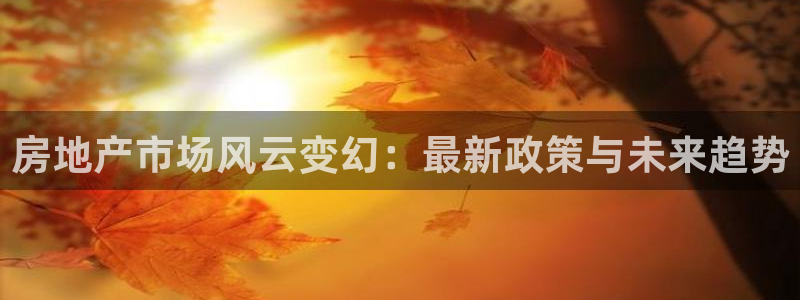 有人知道新宝5么：房地产市场风云变幻：最新政策与未来趋势