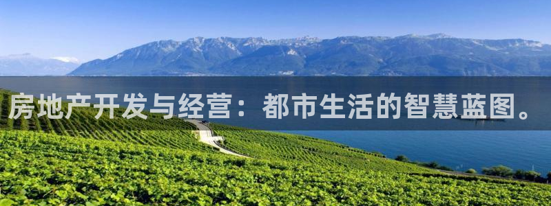 新宝5app：房地产开发与经营：都市生活的智慧蓝图。