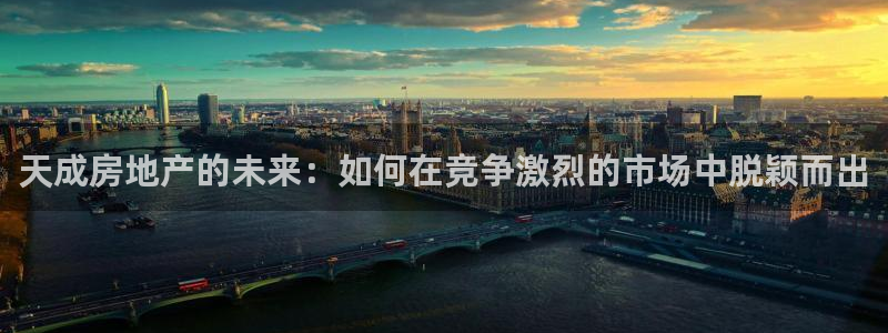 新宝5后：天成房地产的未来：如何在竞争激烈的市场中脱颖而出