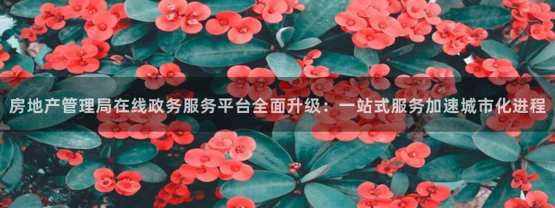 2022新宝骏rs 5：房地产管理局在线政务服务平台全面升级
