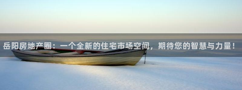 新宝5寂创33300散：岳阳房地产圈：一个全新的住宅市场空间