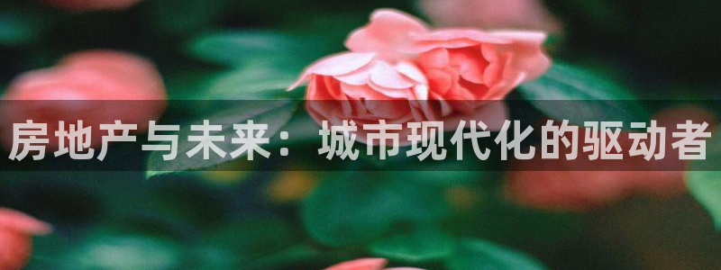 新宝5蒋7O667：房地产与未来：城市现代化的驱动者