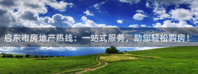 新宝5挂机软件：启东市房地产热线：一站式服务，助您轻松购房！