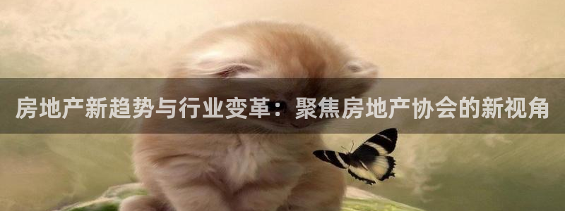 新宝速5：房地产新趋势与行业变革：聚焦房地产协会的新视角