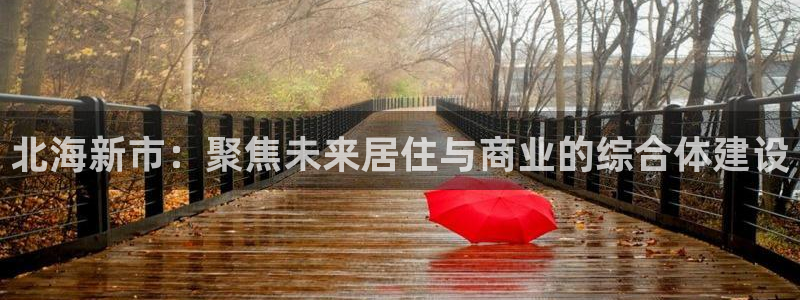 新宝5开好：北海新市：聚焦未来居住与商业的综合体建设