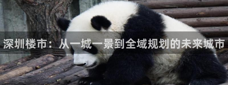 新宝5测登录：深圳楼市：从一城一景到全域规划的未来城市