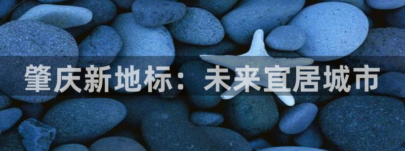 新宝5平台注册资金：肇庆新地标：未来宜居城市