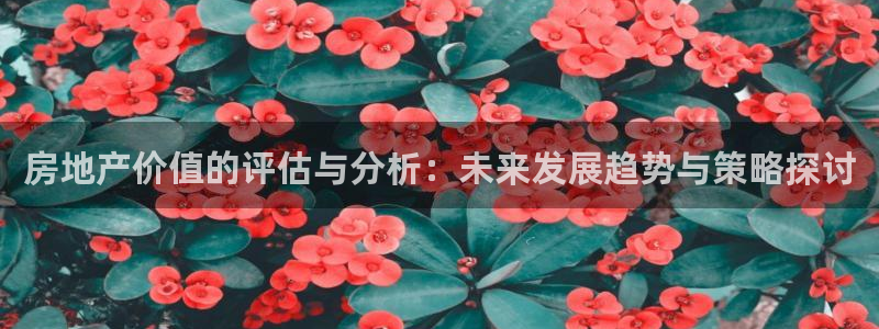 新宝h2O5O5O：房地产价值的评估与分析：未来发展趋势与策