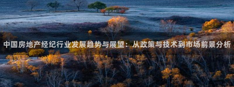 新宝5官方：中国房地产经纪行业发展趋势与展望：从政策与技术到