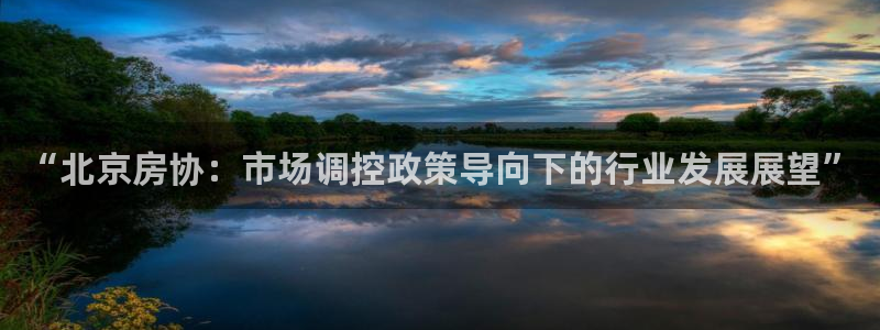 新宝5娱乐然：“北京房协：市场调控政策导向下的行业发展展望”
