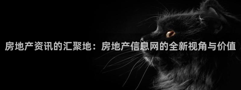 p5r新宝魔：房地产资讯的汇聚地：房地产信息网的全新视角与价