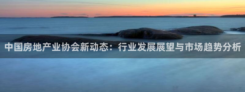 新宝5平台登陆：中国房地产业协会新动态：行业发展展望与市场趋