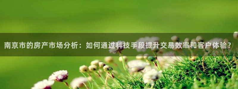 新宝5下载官方：南京市的房产市场分析：如何通过科技手段提升交