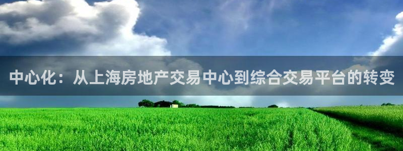 新宝5褚74OOO5：中心化：从上海房地产交易中心到综合交易