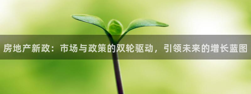 新宝_5：房地产新政：市场与政策的双轮驱动，引领未来的增长蓝