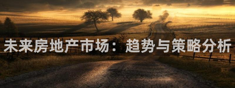 新宝5app：未来房地产市场：趋势与策略分析