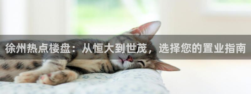 新宝5注册账号：徐州热点楼盘：从恒大到世茂，选择您的置业指南