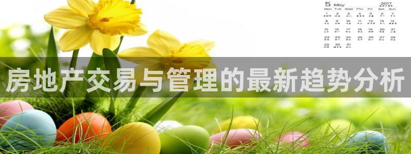 新宝5登录测速中心：房地产交易与管理的最新趋势分析