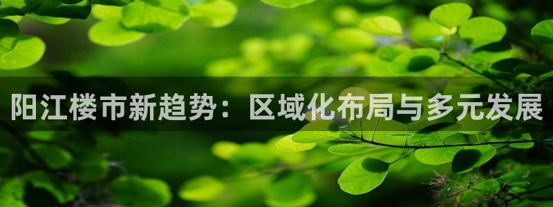 新宝速5：阳江楼市新趋势：区域化布局与多元发展