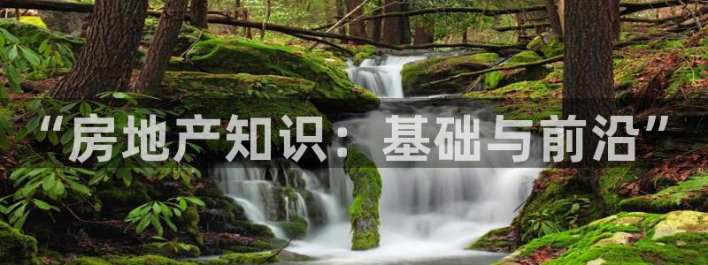 新宝新5：“房地产知识：基础与前沿”
