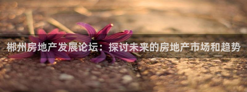 新宝5蒋7O667：郴州房地产发展论坛：探讨未来的房地产市场