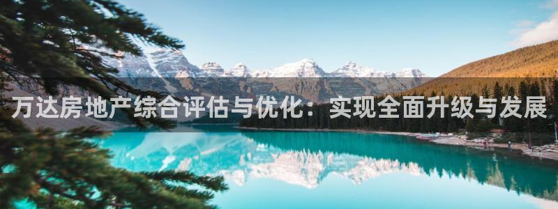 新宝6霸哥5：万达房地产综合评估与优化：实现全面升级与发展