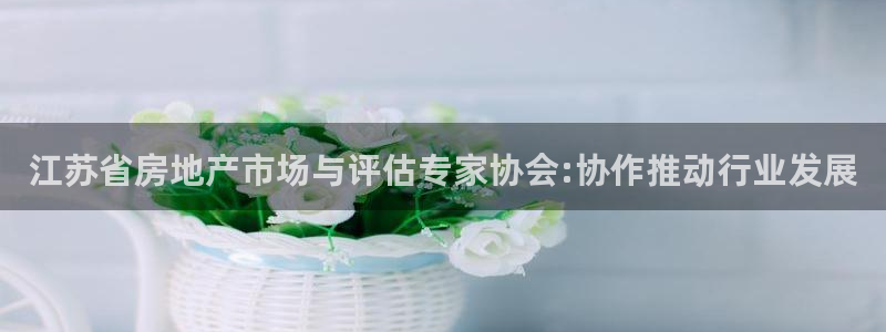 新宝集团新宝5：江苏省房地产市场与评估专家协会:协作推动行业