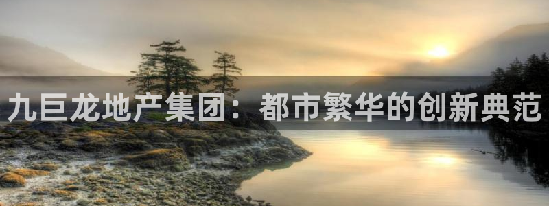新宝5系列：九巨龙地产集团：都市繁华的创新典范