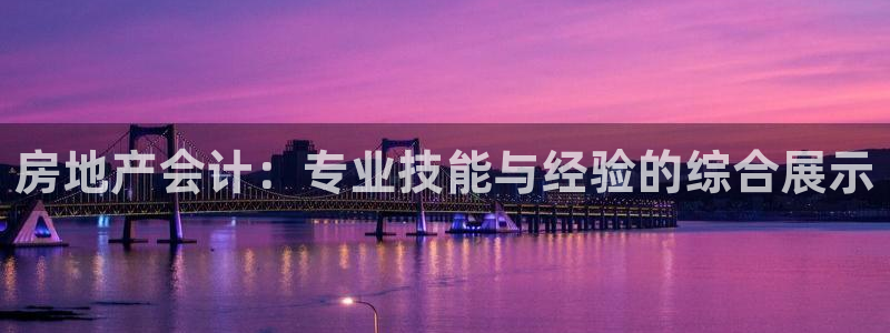新宝5登录不了：房地产会计：专业技能与经验的综合展示