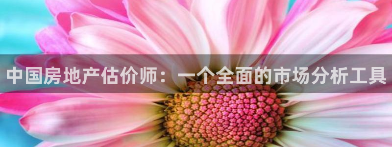 新宝5蒋74OOO5：中国房地产估价师：一个全面的市场分析工