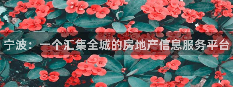新宝5娱乐然：宁波：一个汇集全城的房地产信息服务平台