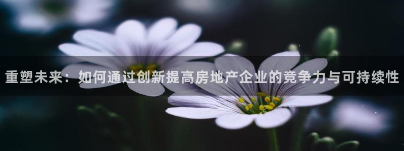新宝5在哪里：重塑未来：如何通过创新提高房地产企业的竞争力与