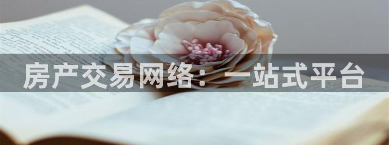 新宝5下载：房产交易网络：一站式平台