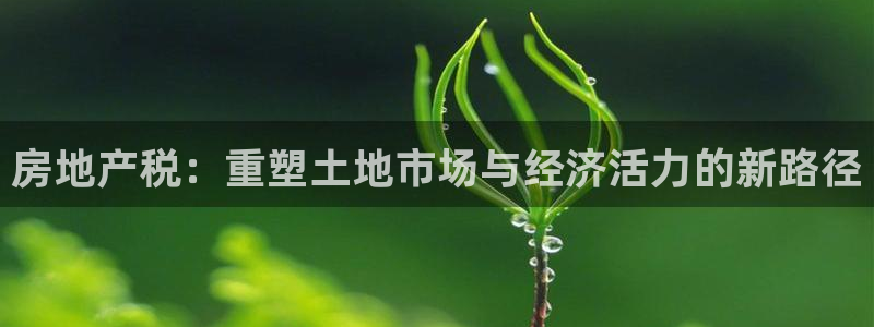 新宝5登录界面：房地产税：重塑土地市场与经济活力的新路径