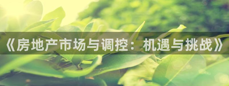 新宝5手机登录：《房地产市场与调控：机遇与挑战》