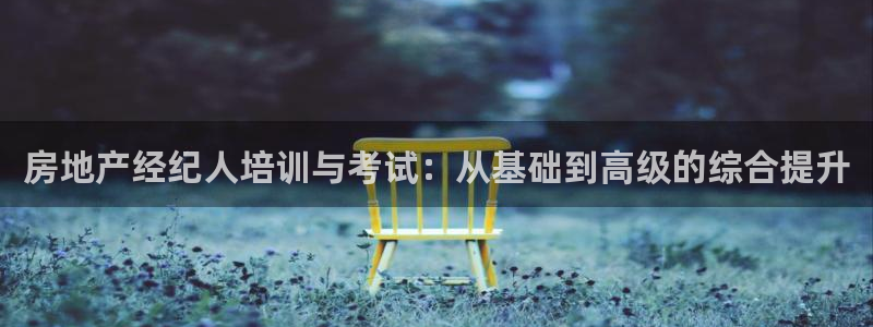 新宝5测速下载：房地产经纪人培训与考试：从基础到高级的综合提