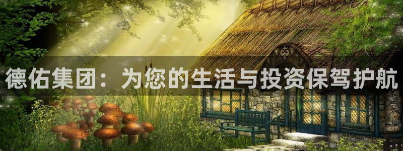 新宝5娱乐：德佑集团：为您的生活与投资保驾护航