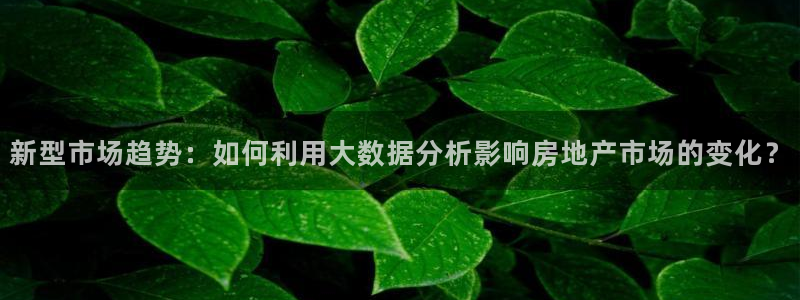 股票5G宝新