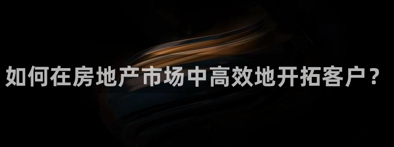 新宝5郑74OOO5：如何在房地产市场中高效地开拓客户？