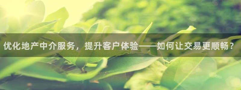 新宝5登录界面：优化地产中介服务，提升客户体验——如何让交易