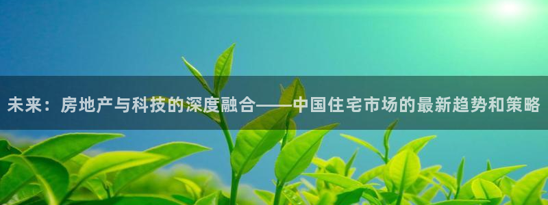新宝5可靠吗：未来：房地产与科技的深度融合——中国住宅市场的