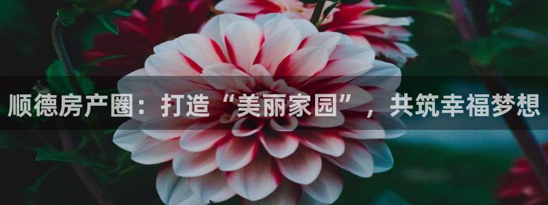 新宝5主管：顺德房产圈：打造“美丽家园”，共筑幸福梦想